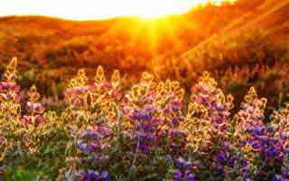 Halda Therapeutics: What's Up With The Stock?