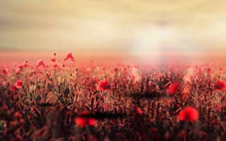 Top Crypto Investment Strategies: What the 'Gurus' Won't Tell You